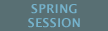 Spring Session